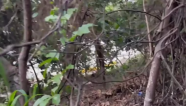 I was in F1 and I met Ronny Aislan on the trail and ate him - Watch in full